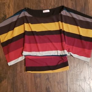 Stripped Top with full flowy sleeves and banded wa